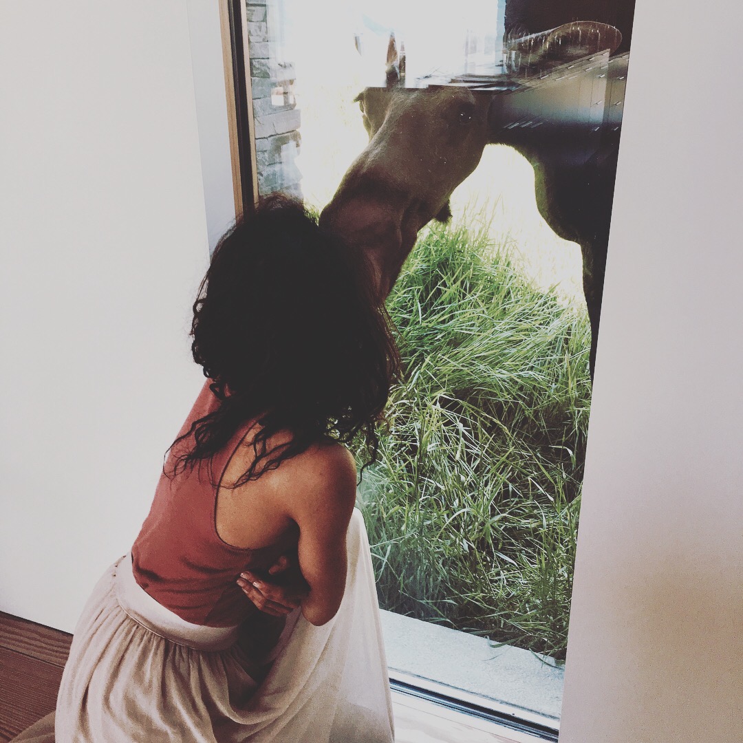 From Instagram